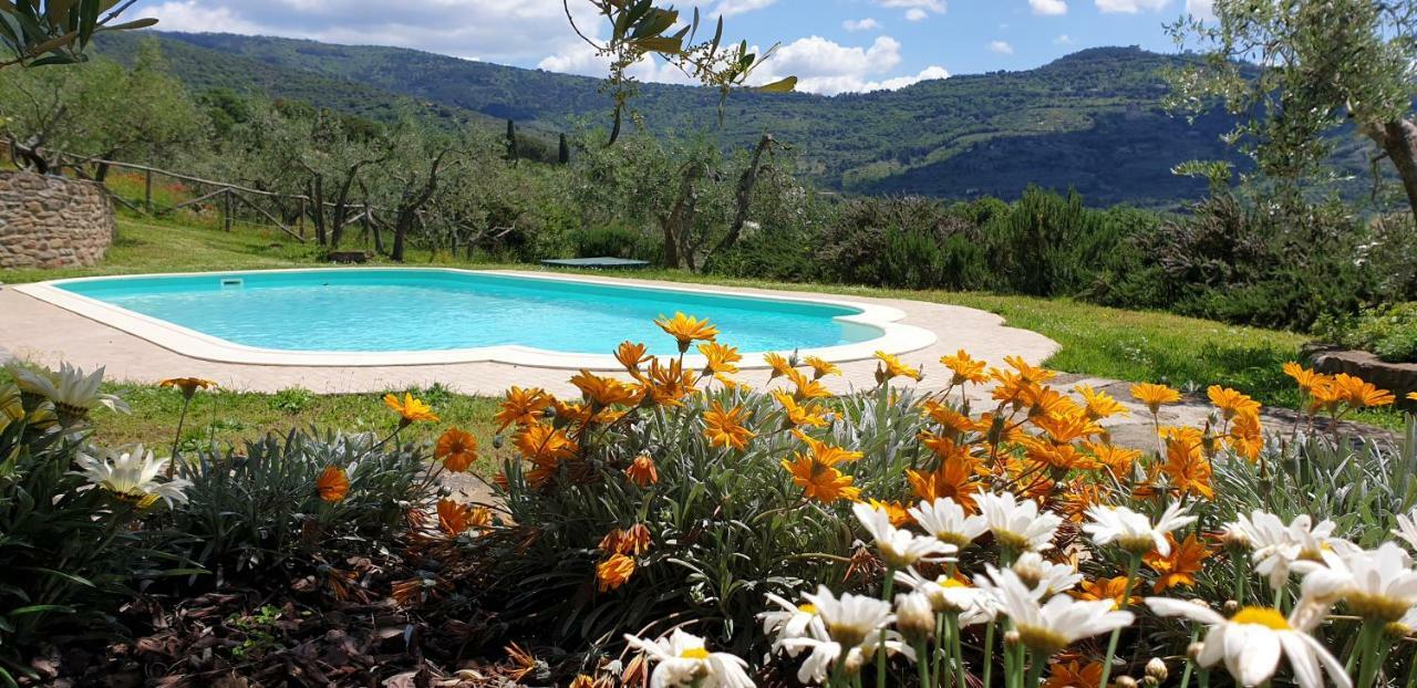 Margherita Holiday Home Cortona Esterno foto